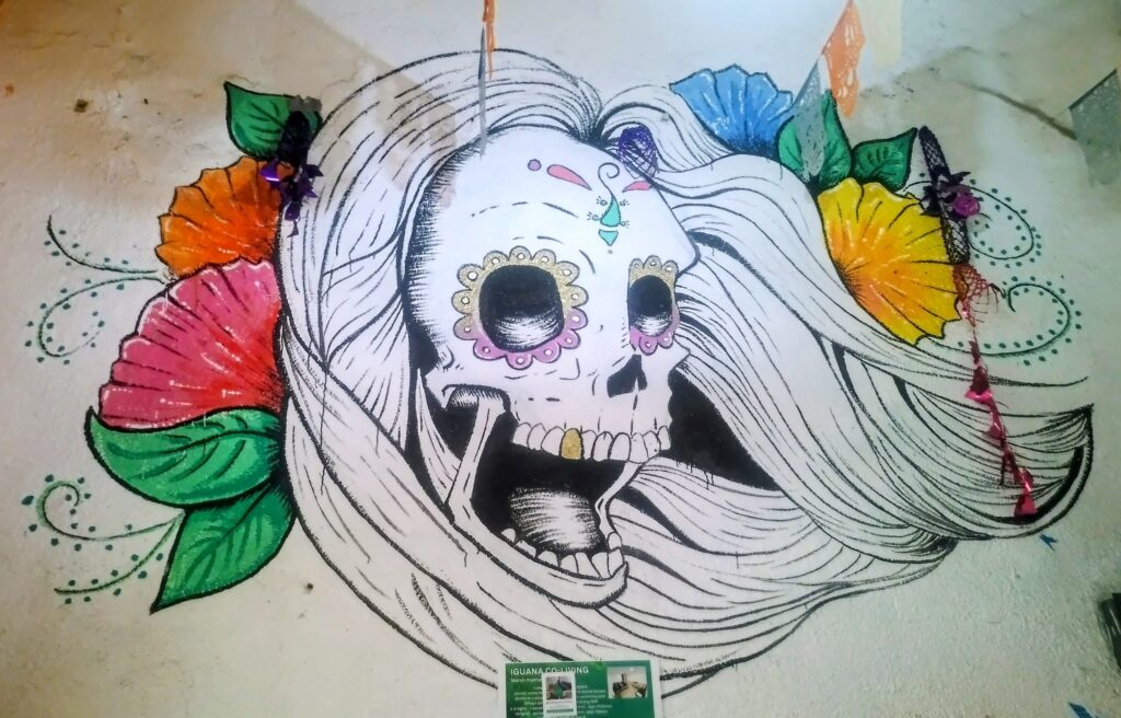 📍Oaxaca, Mexico · Hostel Volunteering at Iguana Hostel 🇲🇽🦎 Hand-drawn mural inside Iguana Hostel in Oaxaca showing a skeleton with an iguana sitting on top of the skull