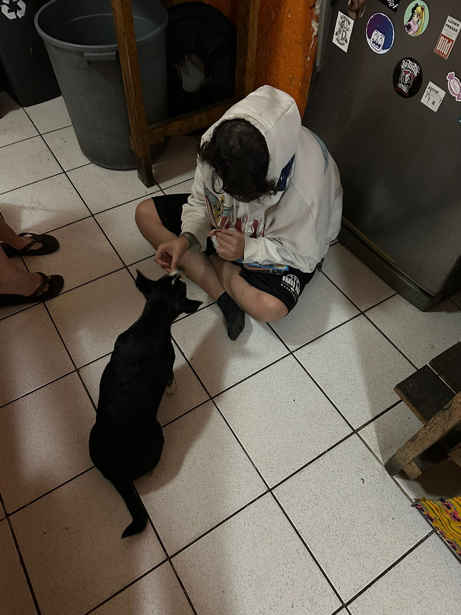 Solo female traveler in a hoodie sitting on the floor and petting a dog — calm, introvert-friendly travel moment.