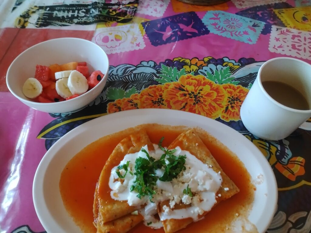 📍Oaxaca, Mexico · Hostel Volunteering at Iguana Hostel 🇲🇽🦎 The Breakfast at iguana hostel includes: one bowl of fresh fruits, a coffee on the right and entomatadas!