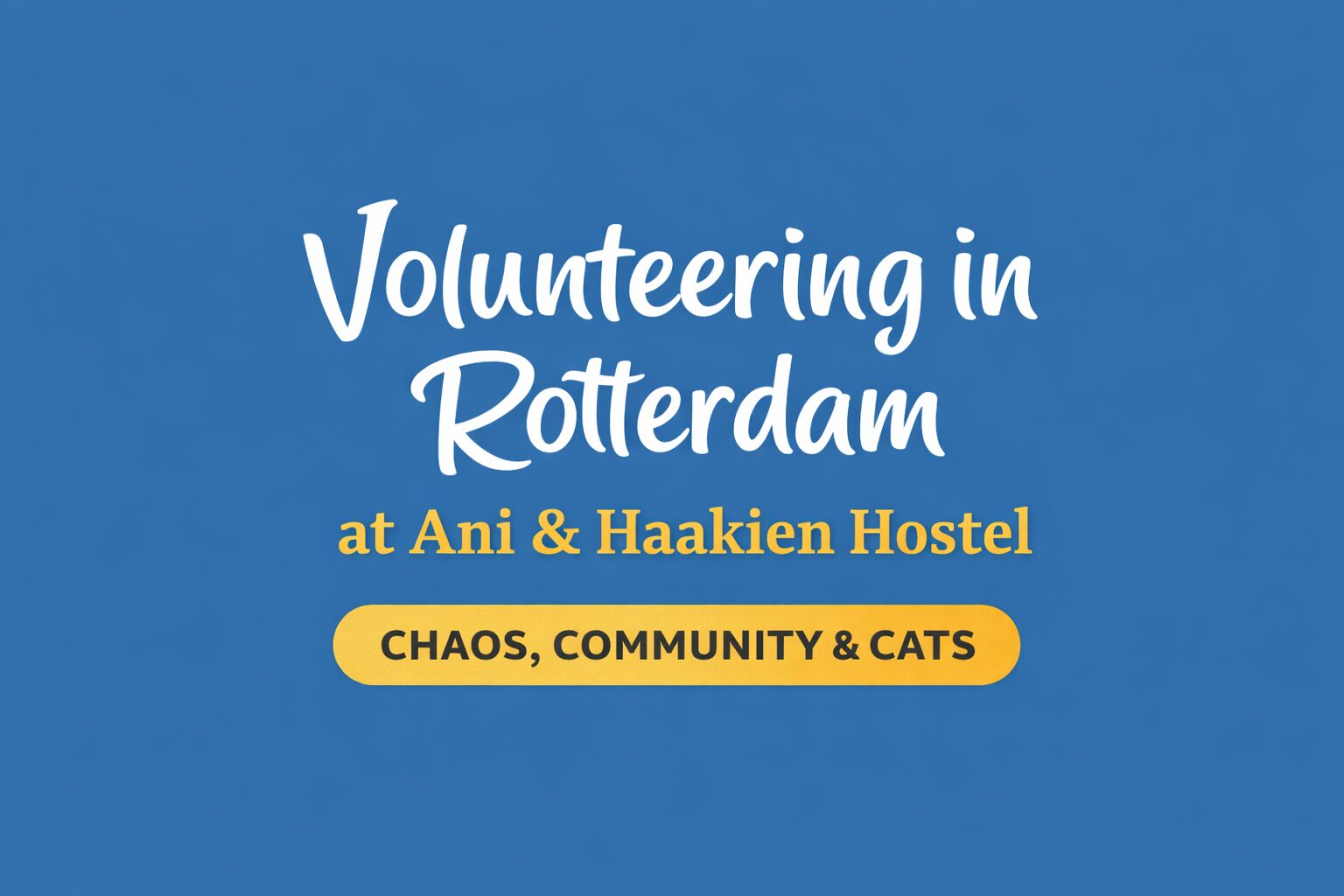 Volunteering in Rotterdam: My 3-Month Hostel Experience at Ani & Haakien & Life Here Volunteering in Rotterdam